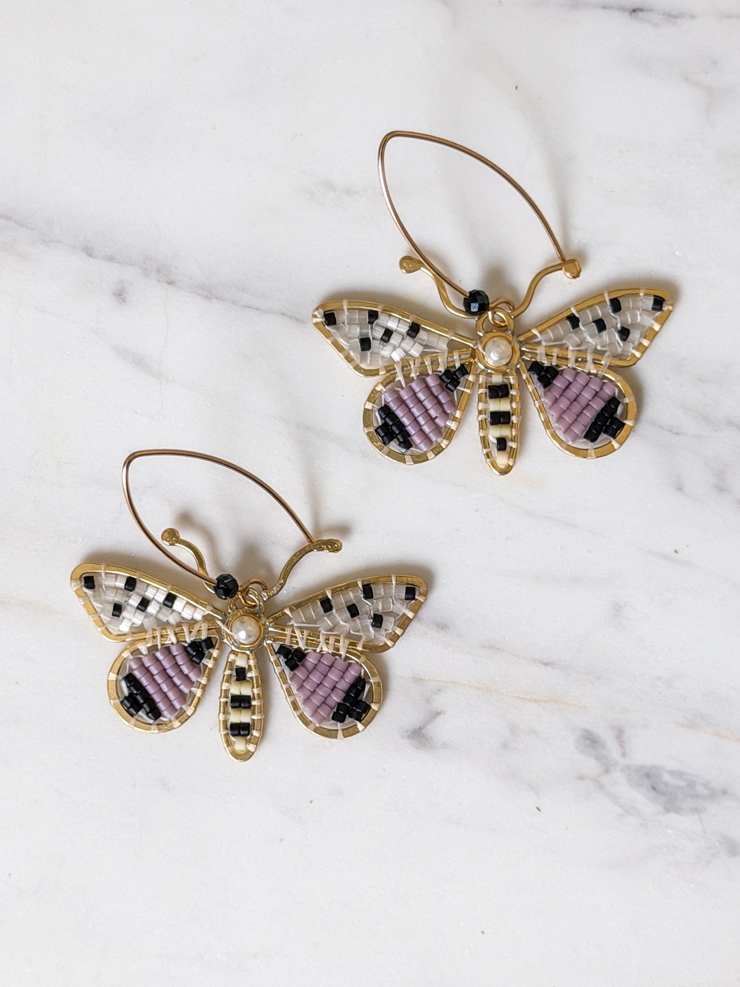 Spotted Lilac Moths