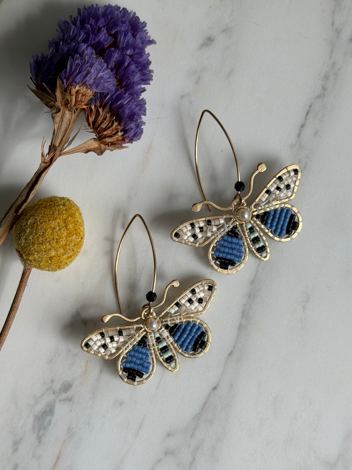 Spotted Blue Moths