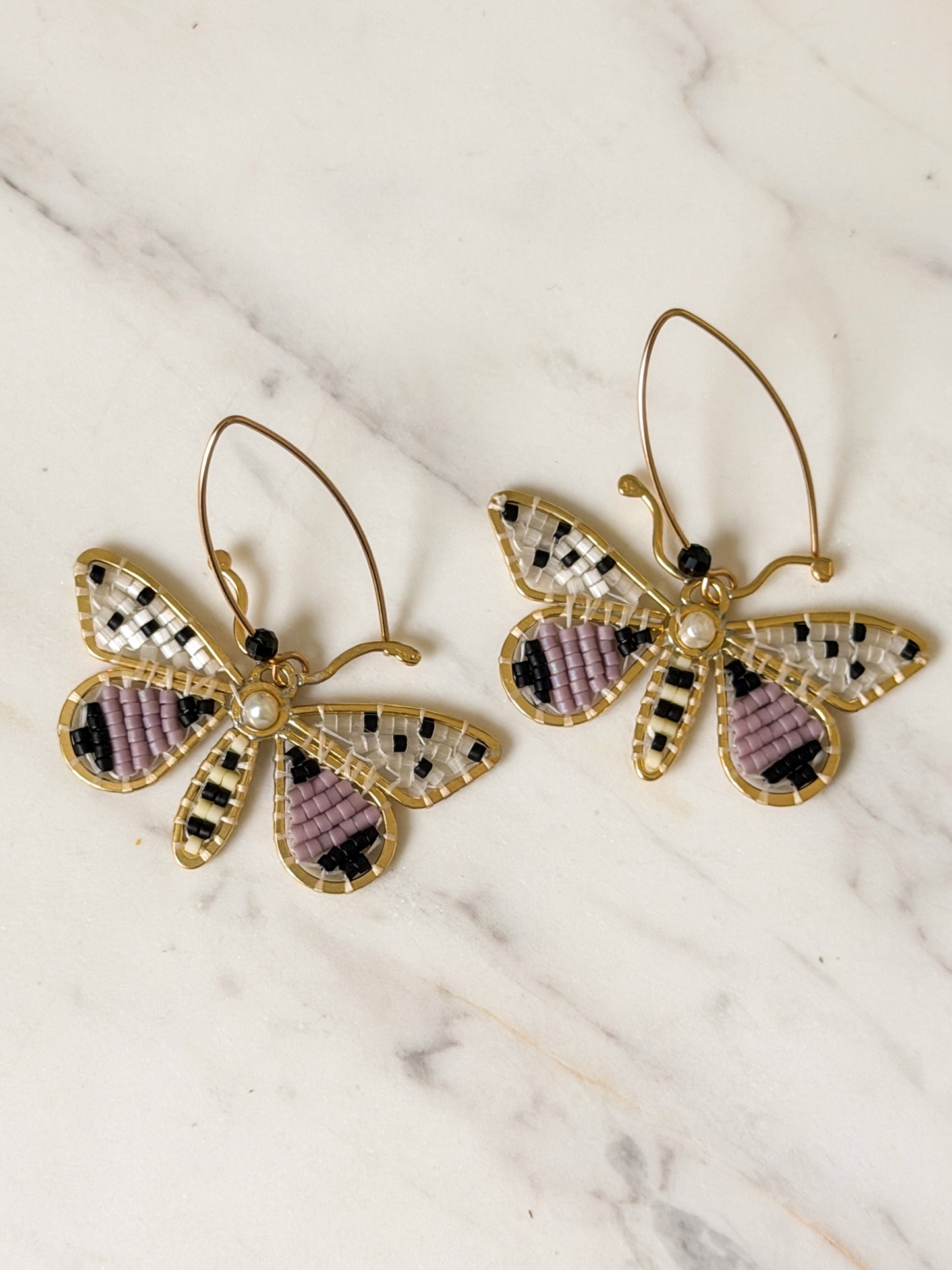 Spotted Lilac Moths