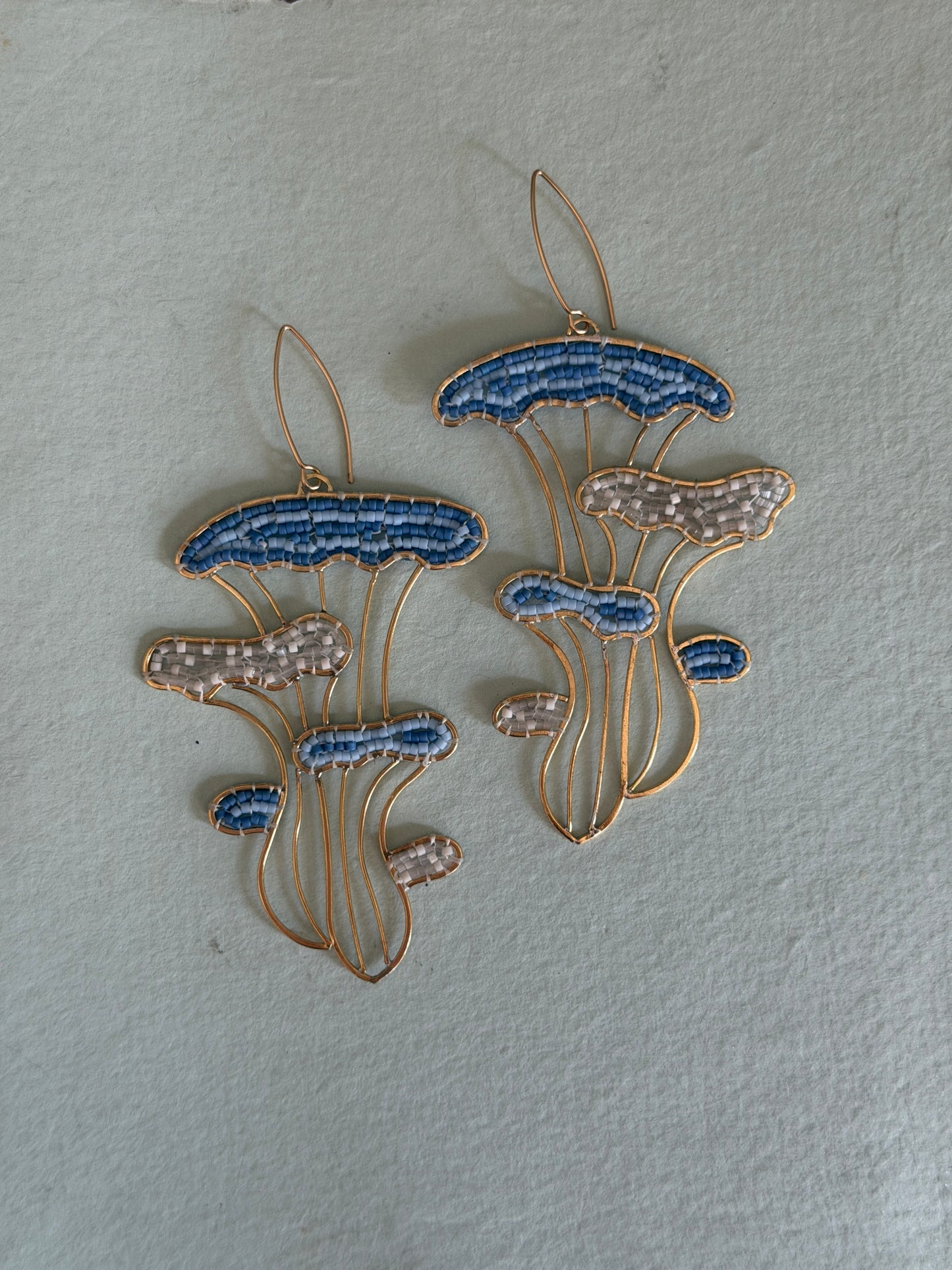 Oyster Mushrooms