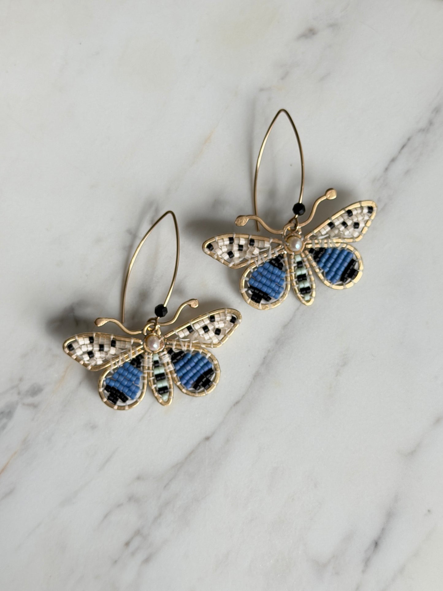 Spotted Blue Moths