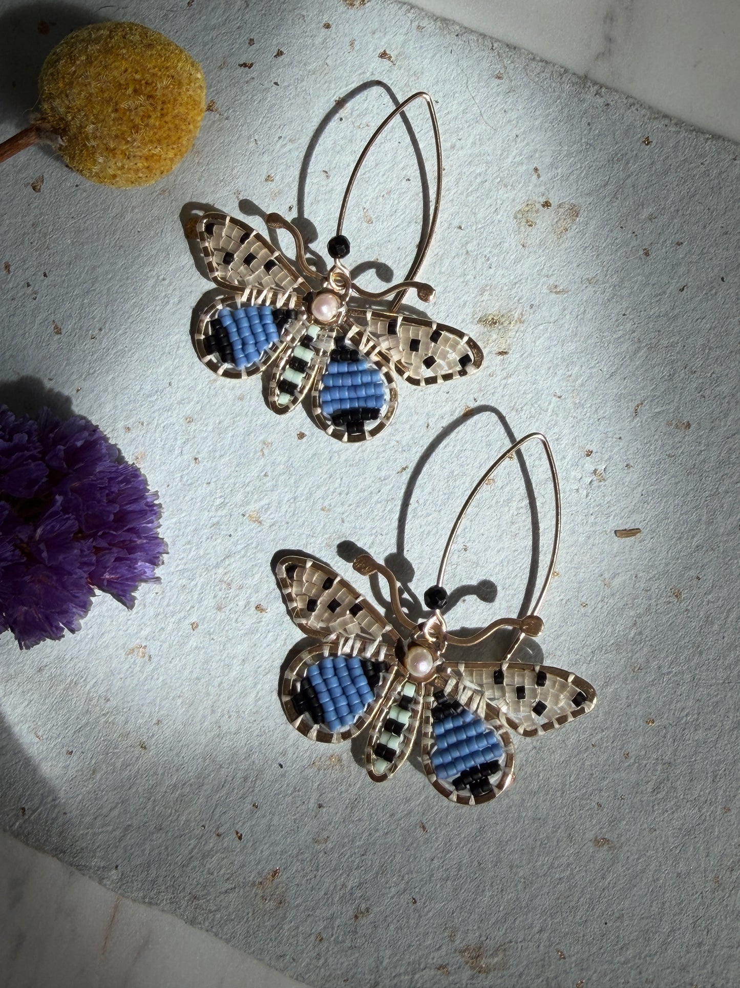 Spotted Blue Moths