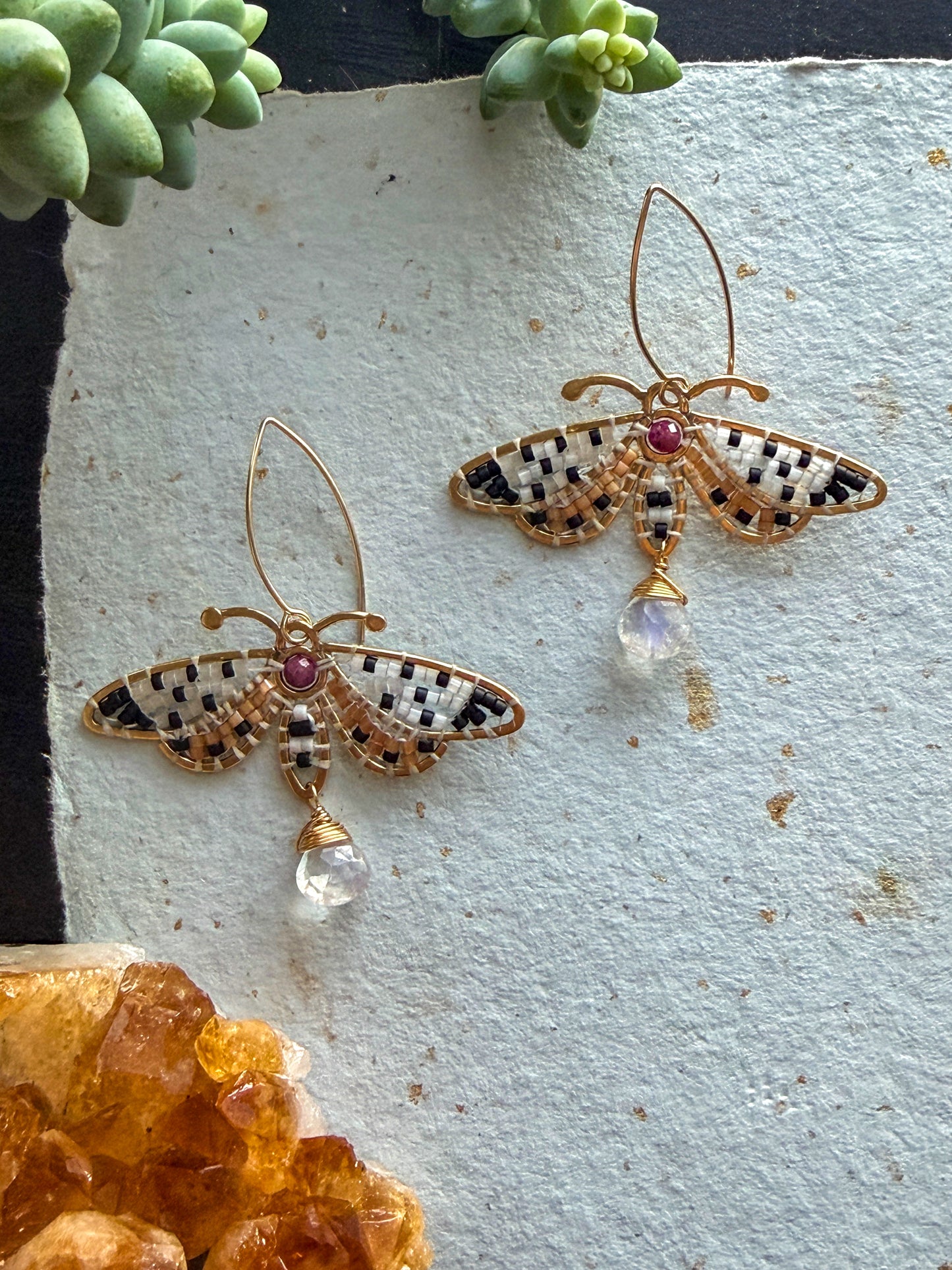 *Pre-Order* Orange Underwing Moths