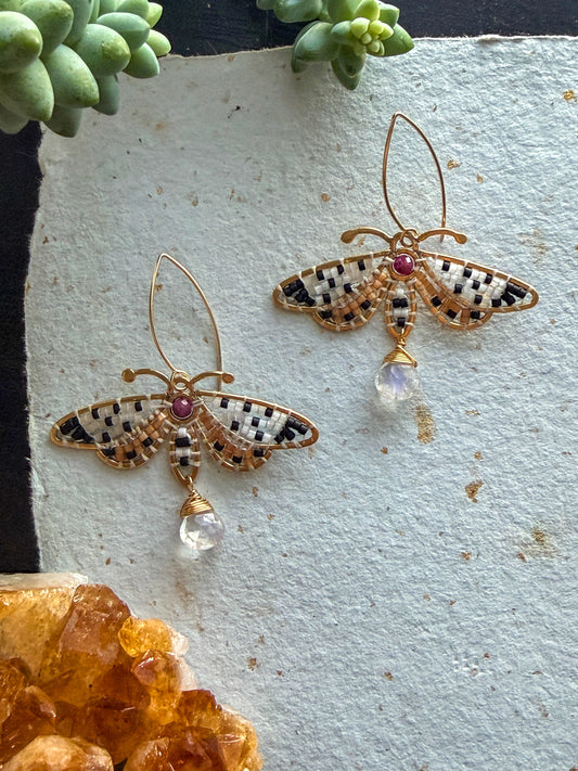 *Pre-Order* Orange Underwing Moths