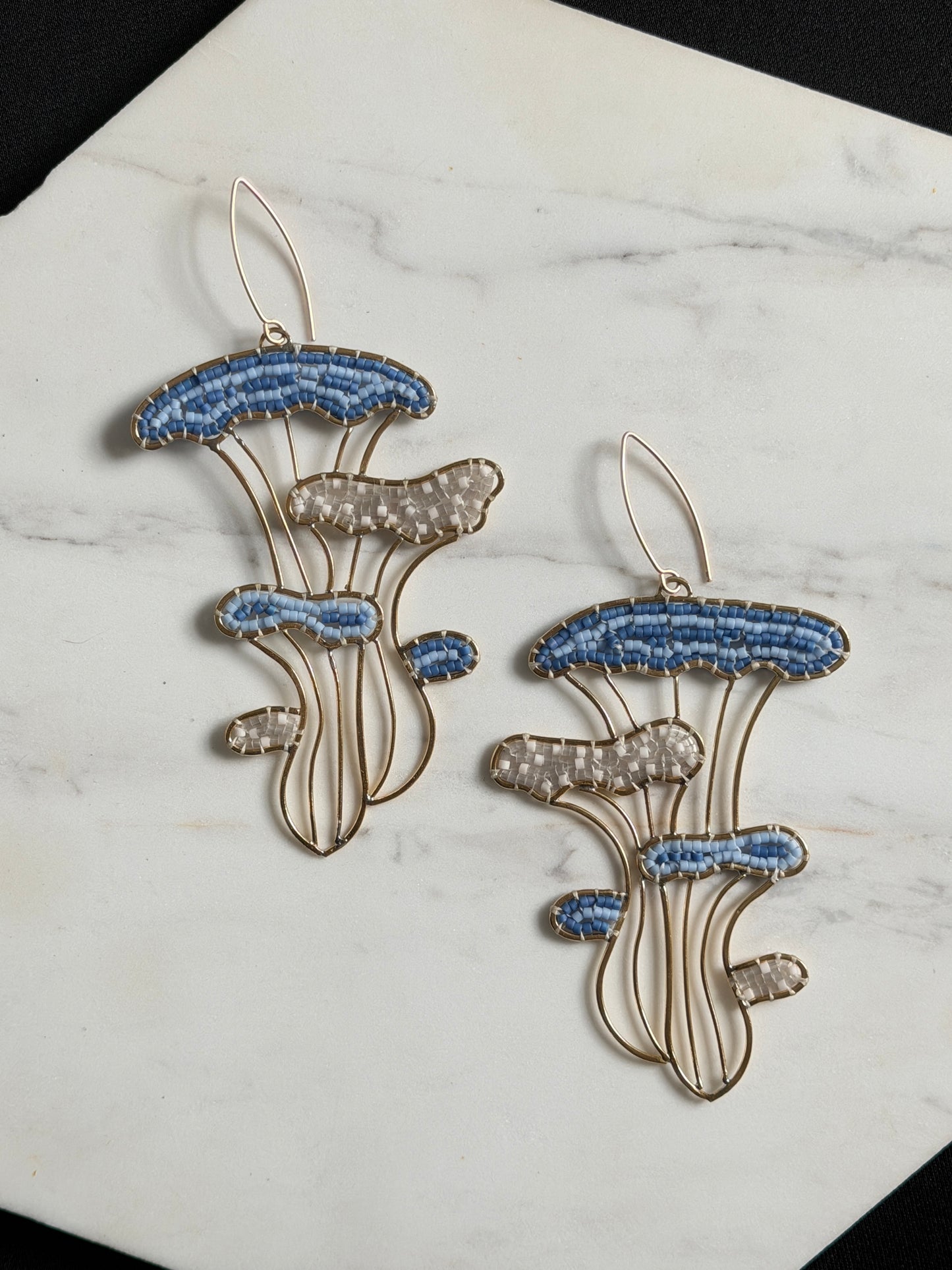 Oyster Mushrooms